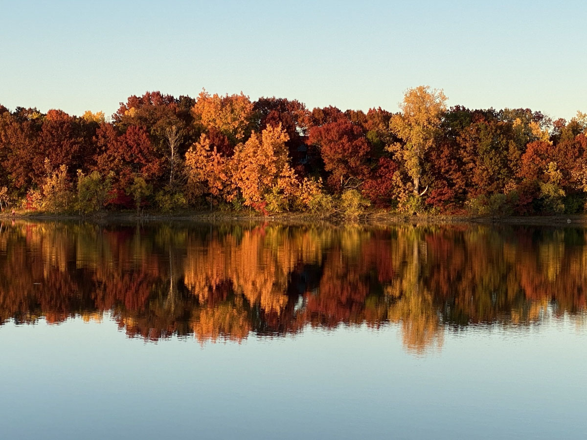 AUTUMN REFLECTION ON POWERS LAKE, Darrin Cresswell 