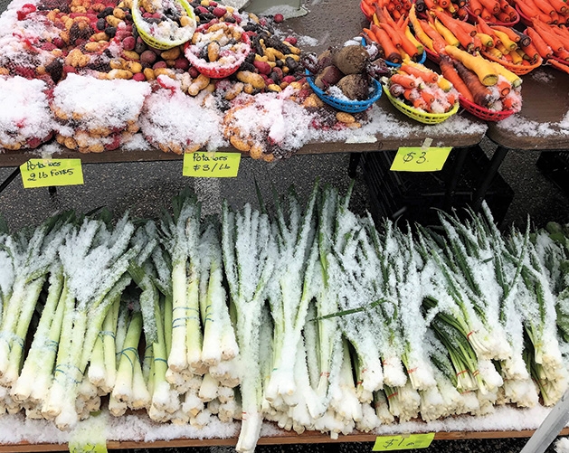 Focus on Woodbury Photo Captures Frost-Covered Farmers Market