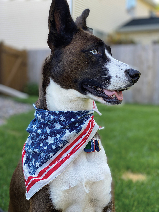 Patriotic Pup - Lorrie Burdeski