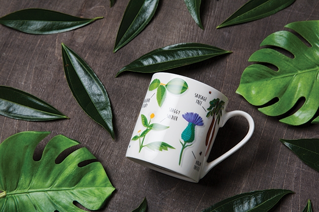 A Gift Guide for Green Thumbs