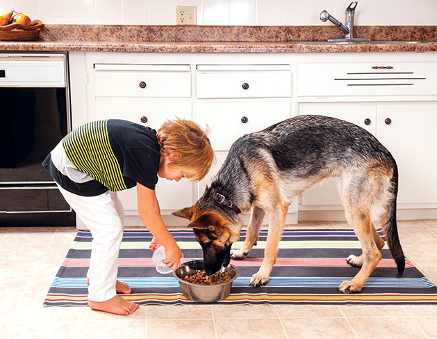 How Much Pet Responsibility Can I Give My Child?