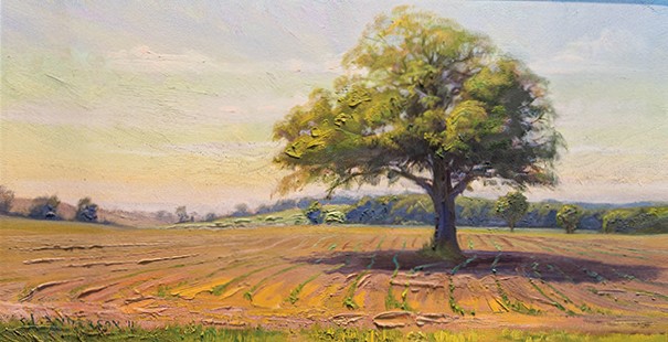 Oak Tree in the Cornfield by Scott Lloyd Anderson