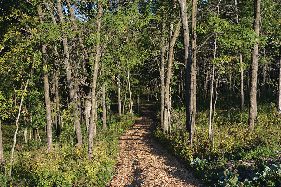 New Oxbow Trail at Belwin Conservancy