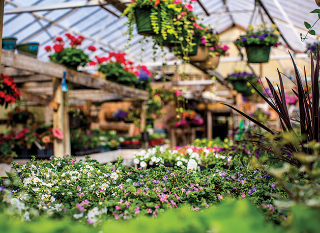 A variety of plants at Whispering Gardens, voted best nursery/garden center in the Best of Woodbury 2019 readers' choice survey.