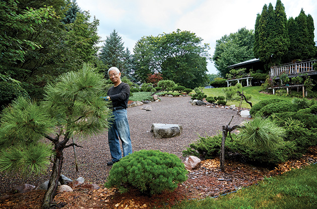 Neighbors Bond Over Bountiful Bonsai Gardens