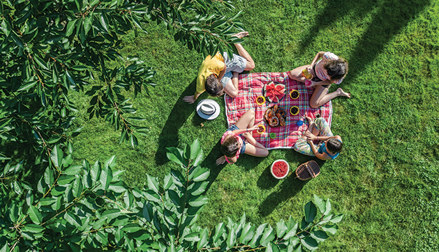 A family of four sits on a picnic blanket in the park.