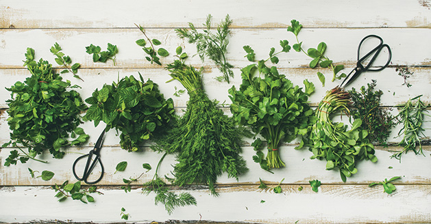 herbs, herb garden, herb combinations, cooking with herbs