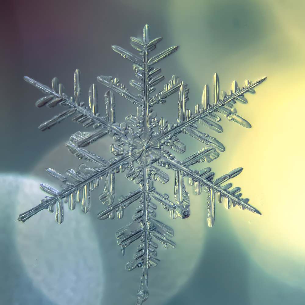 Snowflake Backlit Macro by Nancy Berg