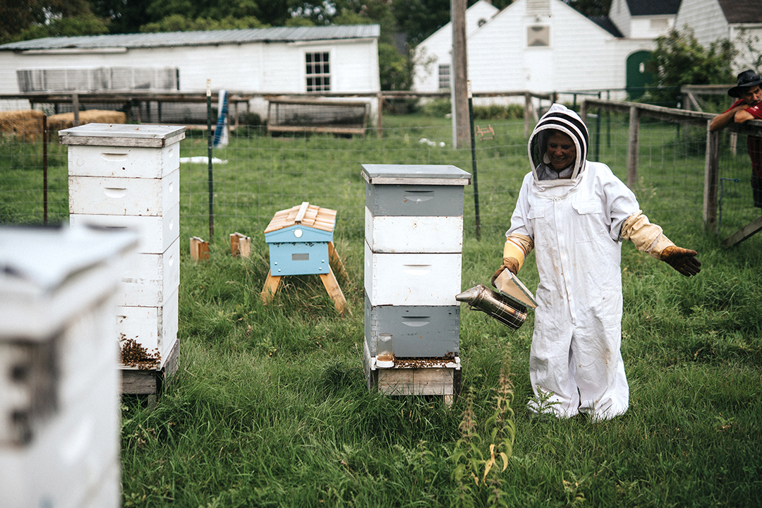Adults are welcome to try their hand at beekeeping—located on the Shephard Farm property.