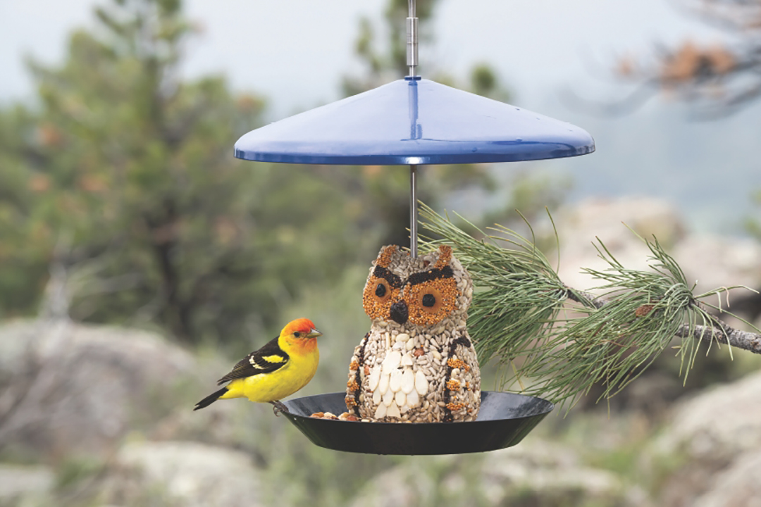 A western tanager eats an Olive the Owl Seed Character on a Flyin’ Bistro Cylinder Feeder.