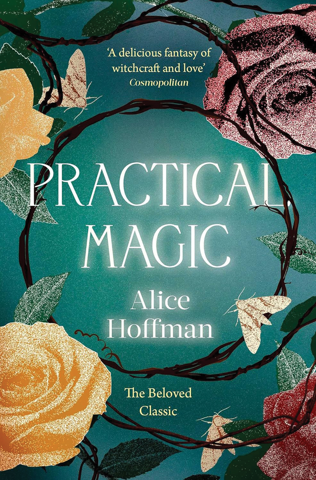 Practical Magic Novel