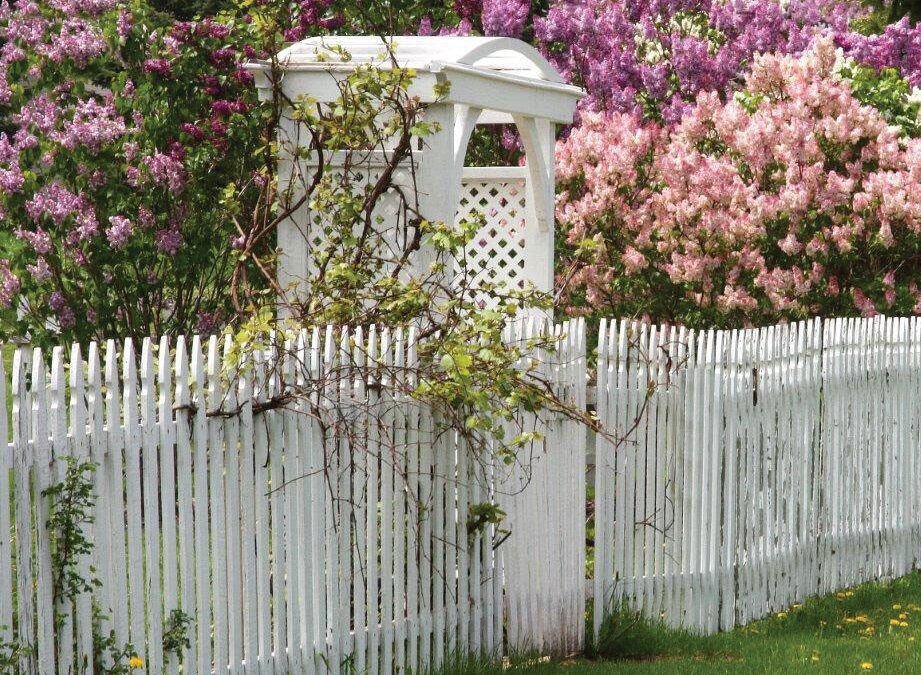 Discover the Heritage House’s Heirloom Garden