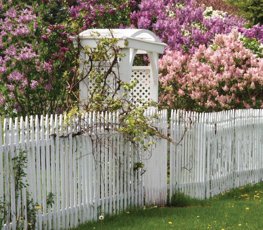 Heritage House Lilac Garden