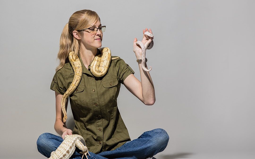 Snake Discovery Explores the Wonderous World of Reptiles