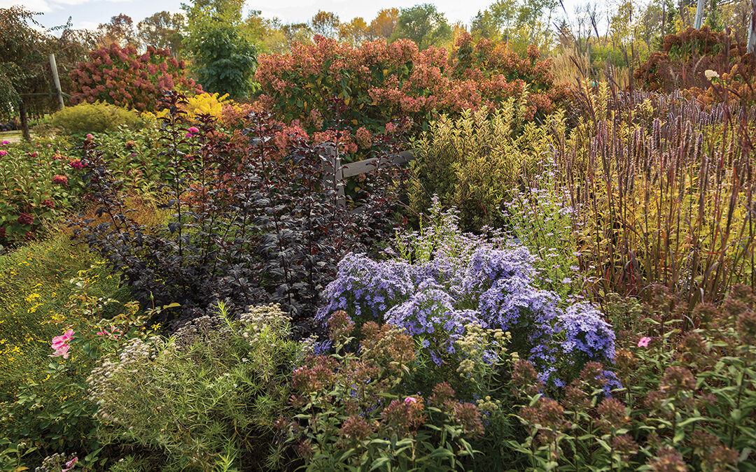 Add an Unexpected Element With Fall Foliage