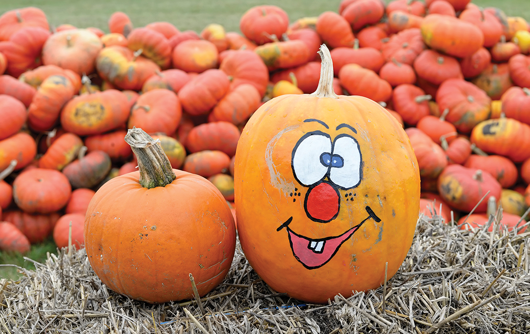 pumpkin with creepy face , outdoor shotpumpkin with creepy face , outdoor shot