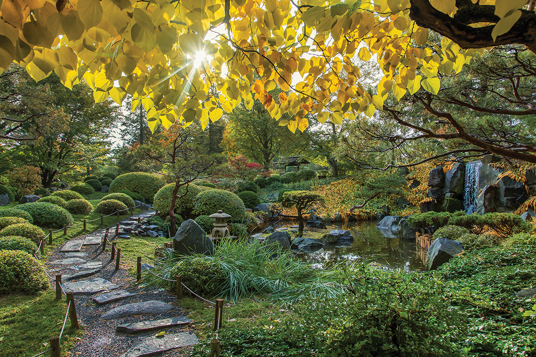 Garden view from the Minnesota Landscape Arboretum.