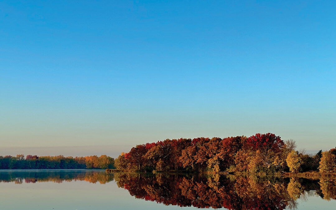 Autumn Glass