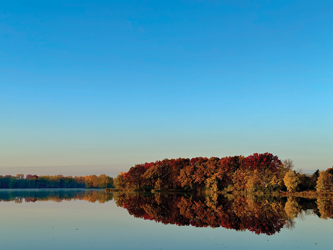 Autumn Glass