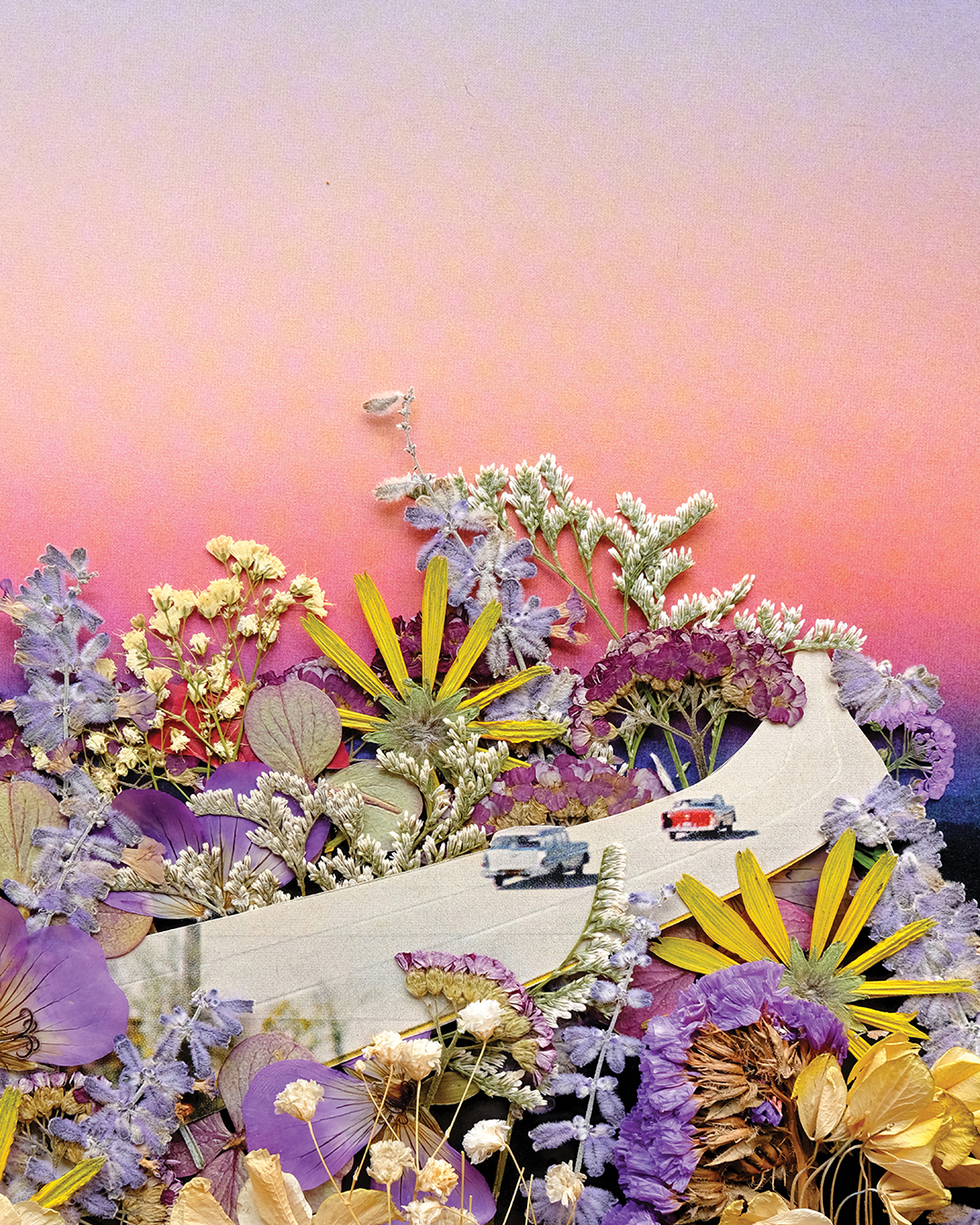 Collage with paper and pressed flowers against pastel background
