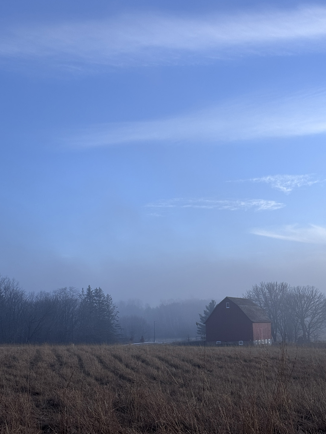 The Barn