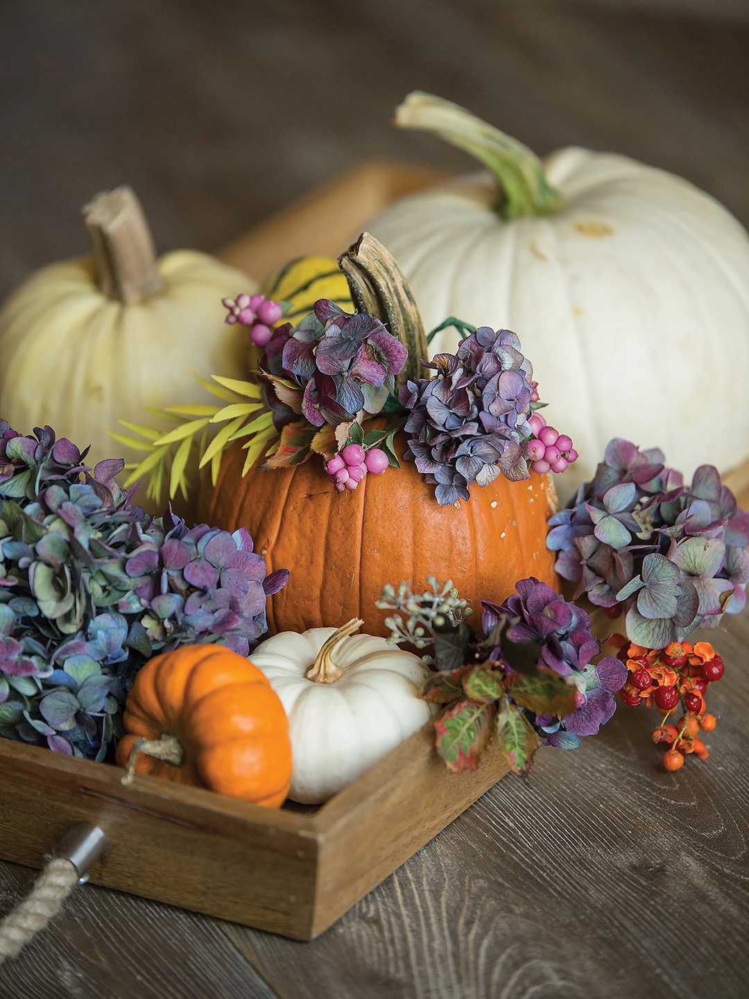 Pumpkin arrangement featuring Endless Summer® BloomStruck® Reblooming Hydrangeas.