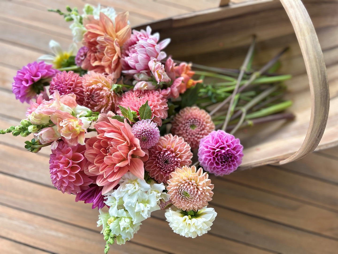 Harvest of Flowers