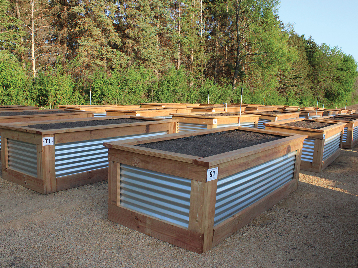Raised beds at the Woodbury Community Garden