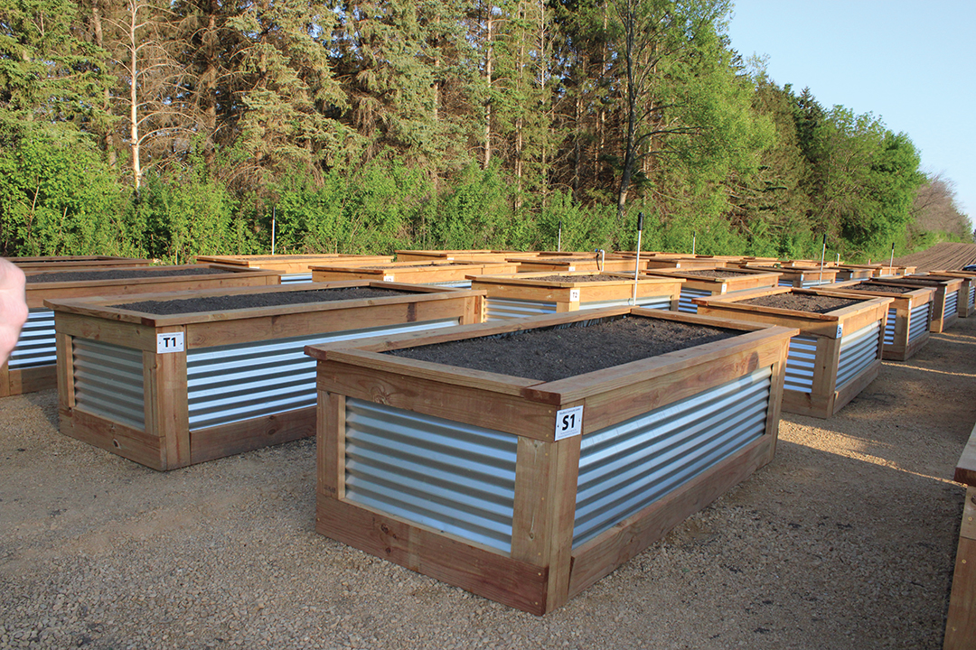 Raised beds at the Woodbury Community Garden