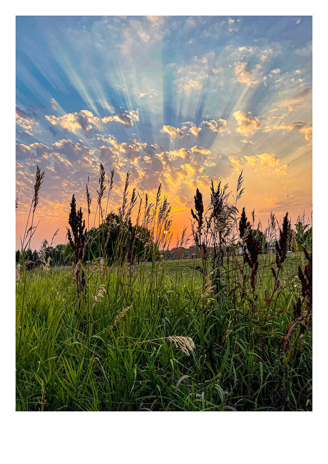 Sunrise Symphony