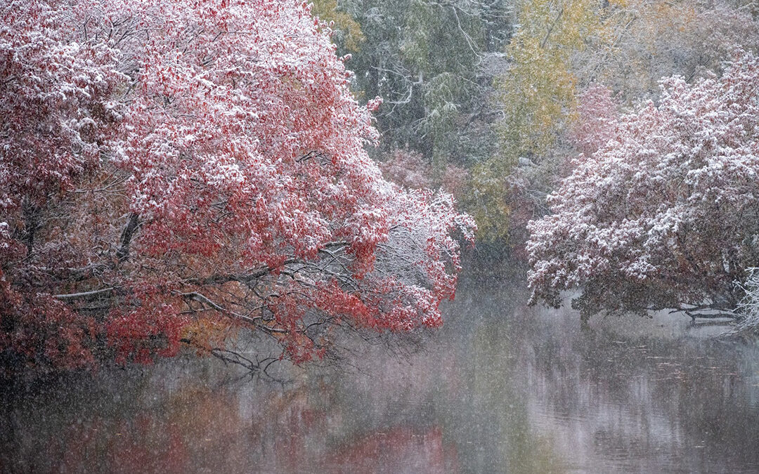 Fall and Winter Collide