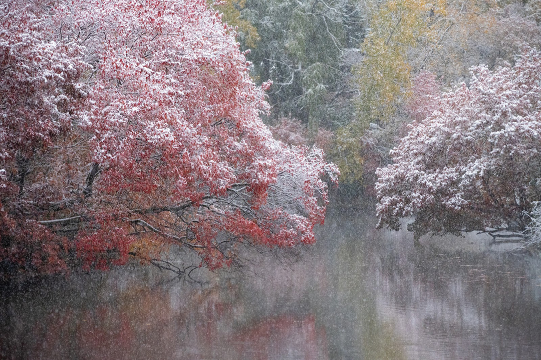 Fall and Winter Collide