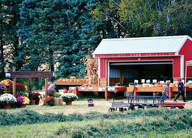 Local Pumpkin Patches and Apple Orchards Erupt with Fall Activities and Offerings This Season