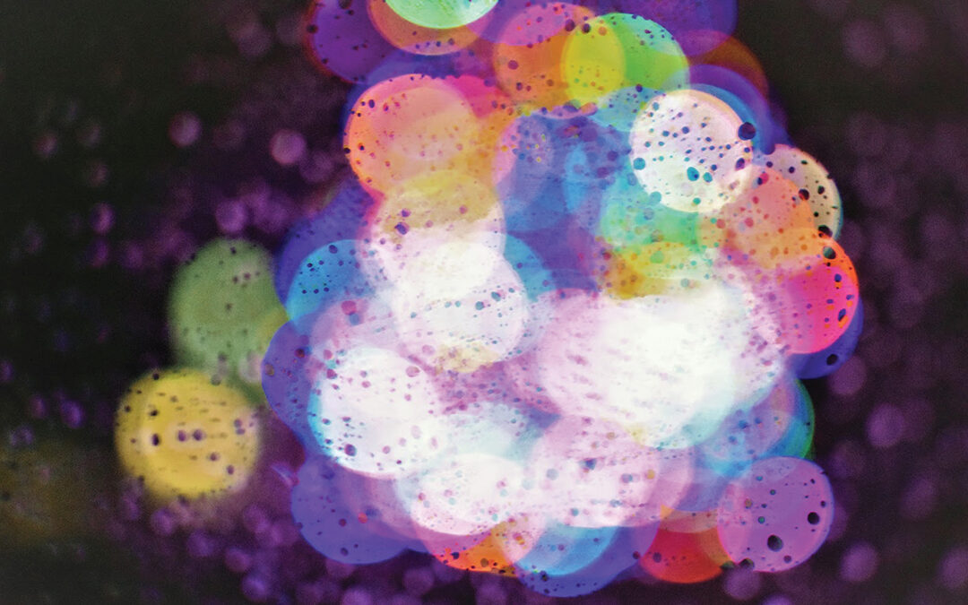 Soggy Christmas Lights