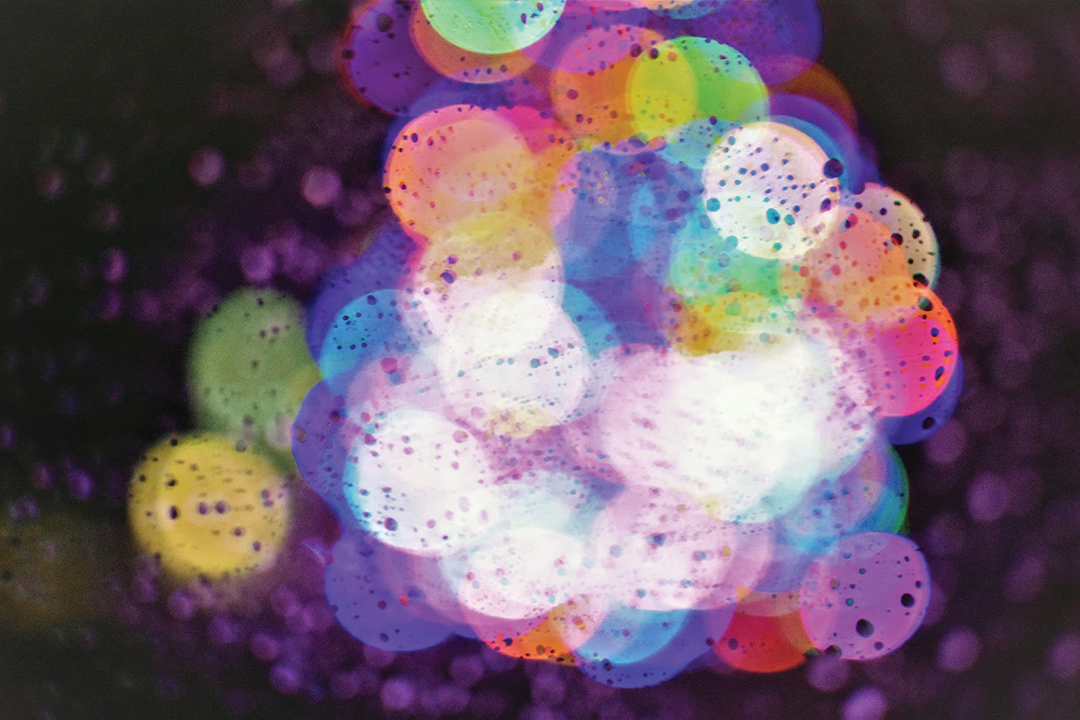 Soggy Christmas Lights