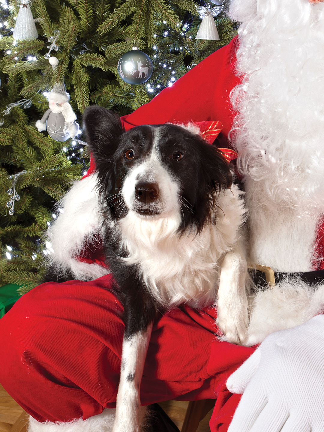 Photos with Santa Event