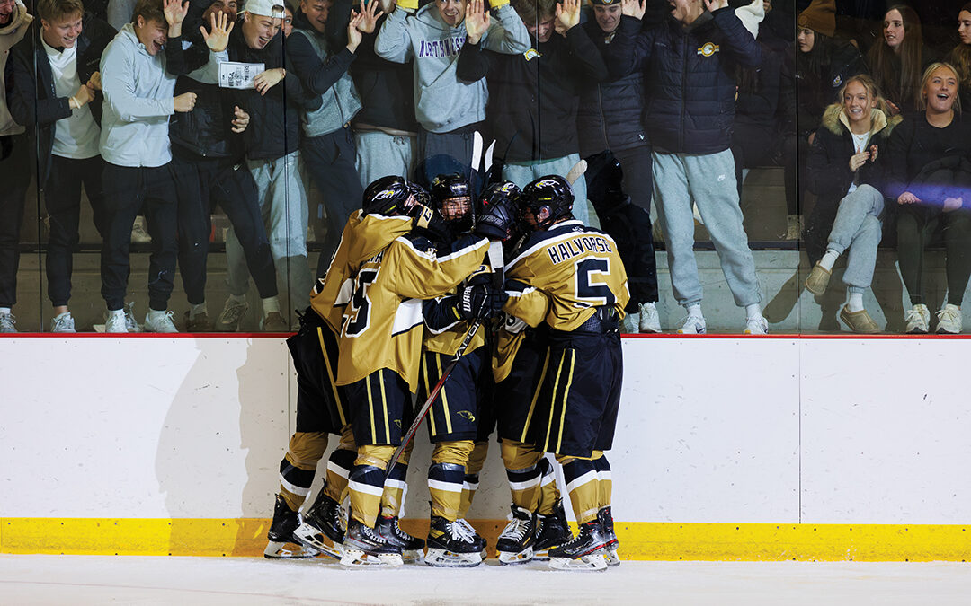 Hockey Day Minnesota Celebrates 20 Years