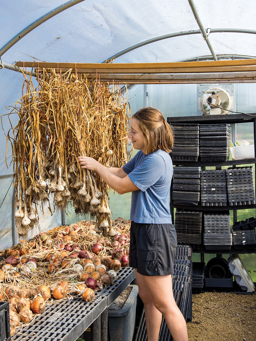 Cimarron Community Farm co-director Elise Hanson checks on the drying garlic and onions as the end of the 2025 growing season nears. 