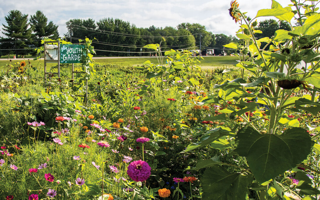 Cultivating Community at Cimarron Community Farm