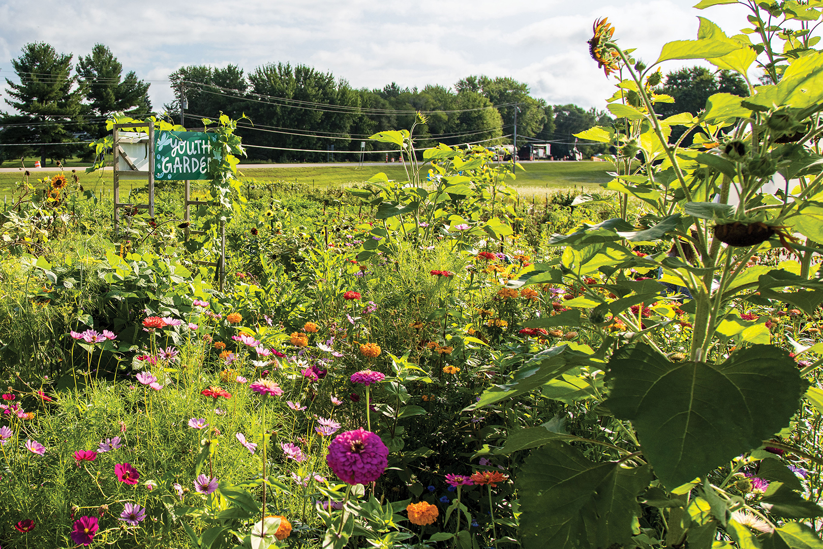 Located in an area that is considered a food desert, Cimarron Community Farm fills an important need. The farm improves food access with neighborhood food distribution and a free farmers market that’s open to the broader community, serving up to 120 families biweekly.