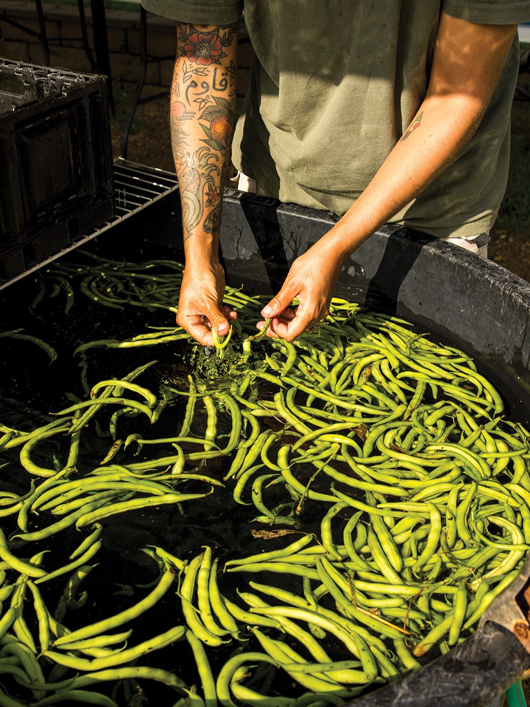 Participating in the Cimarron Community Farm is a great way to support it’s mission to provide fresh food and education to neighbors.