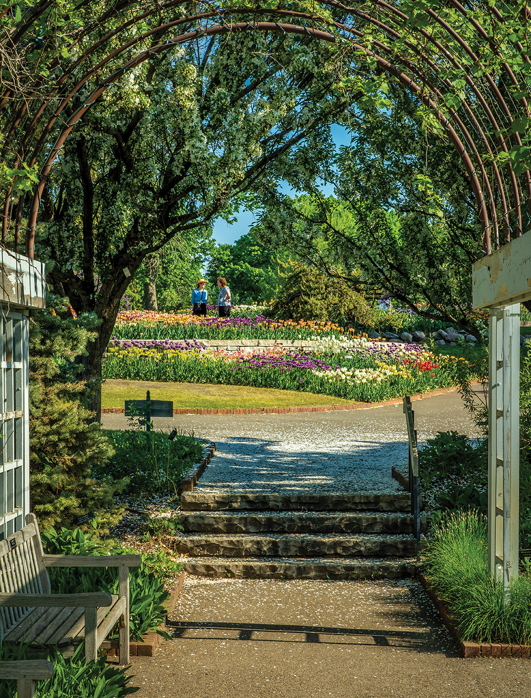 For the SoWashCo Schools Community Education Adults 50+ Trips and Tours program, the Minnesota Landscape Arboretum made for a lovely spring day trip.