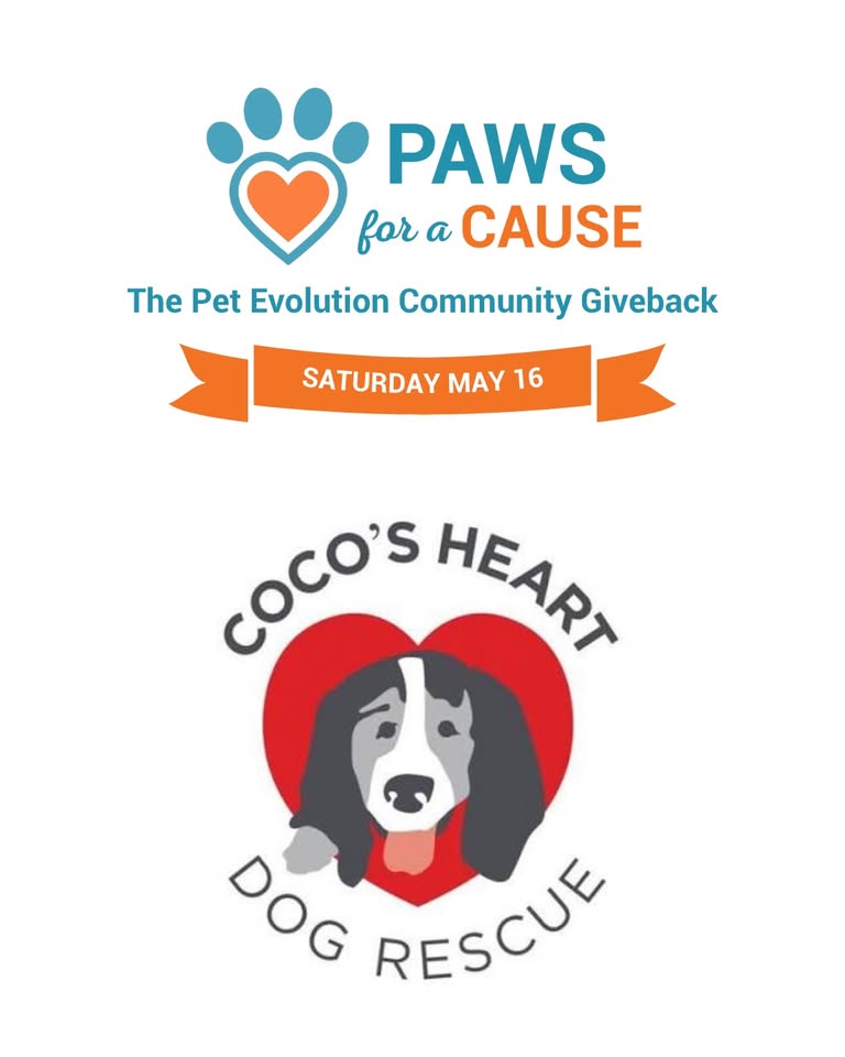 Paws for a Cause event flyer