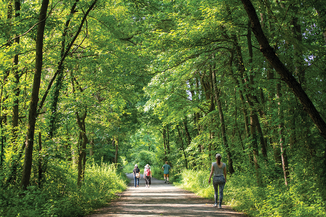 Philadelphia, USA - June 19, 2021. People walking on trail in John Heinz National Wildlife Refuge in Summer, Philadelphia, Pennsylvania, USA