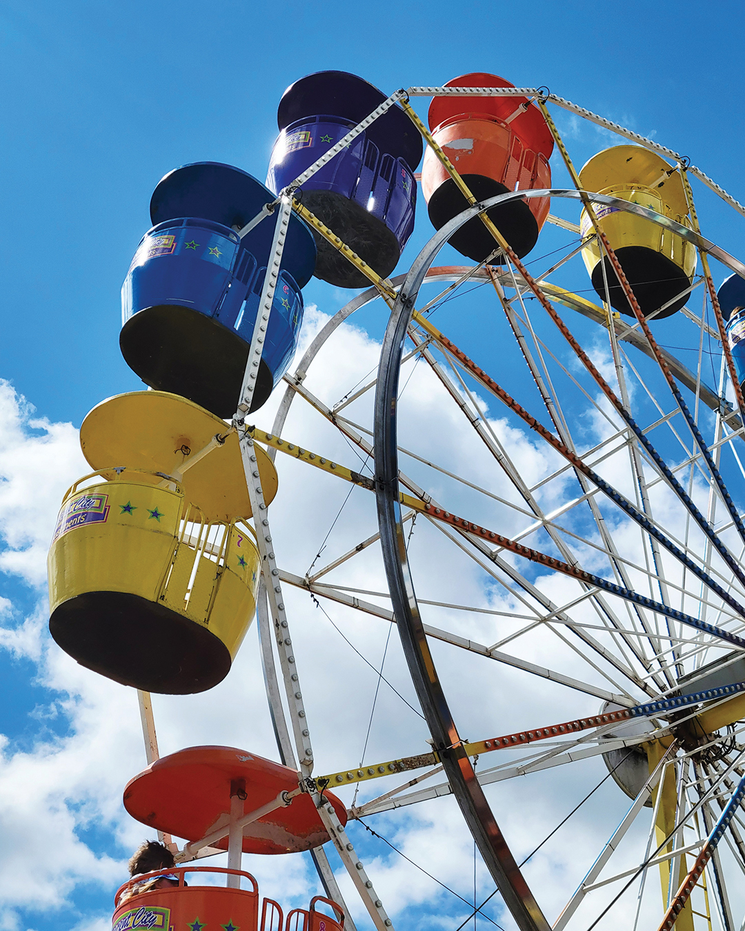 Woodbury Days Carnival by Cindy Abair shows the playfulness of the annual festival, hosted at Ojibway Park, one of Woodbury’s first established parks.