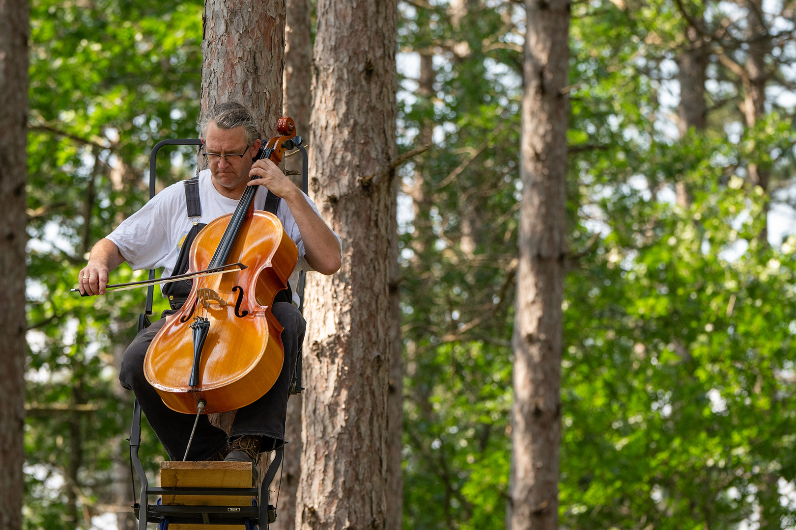Cellist Aaron Kerr performing at Music in the Trees. 