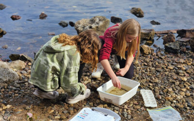 Taking Education Outdoors