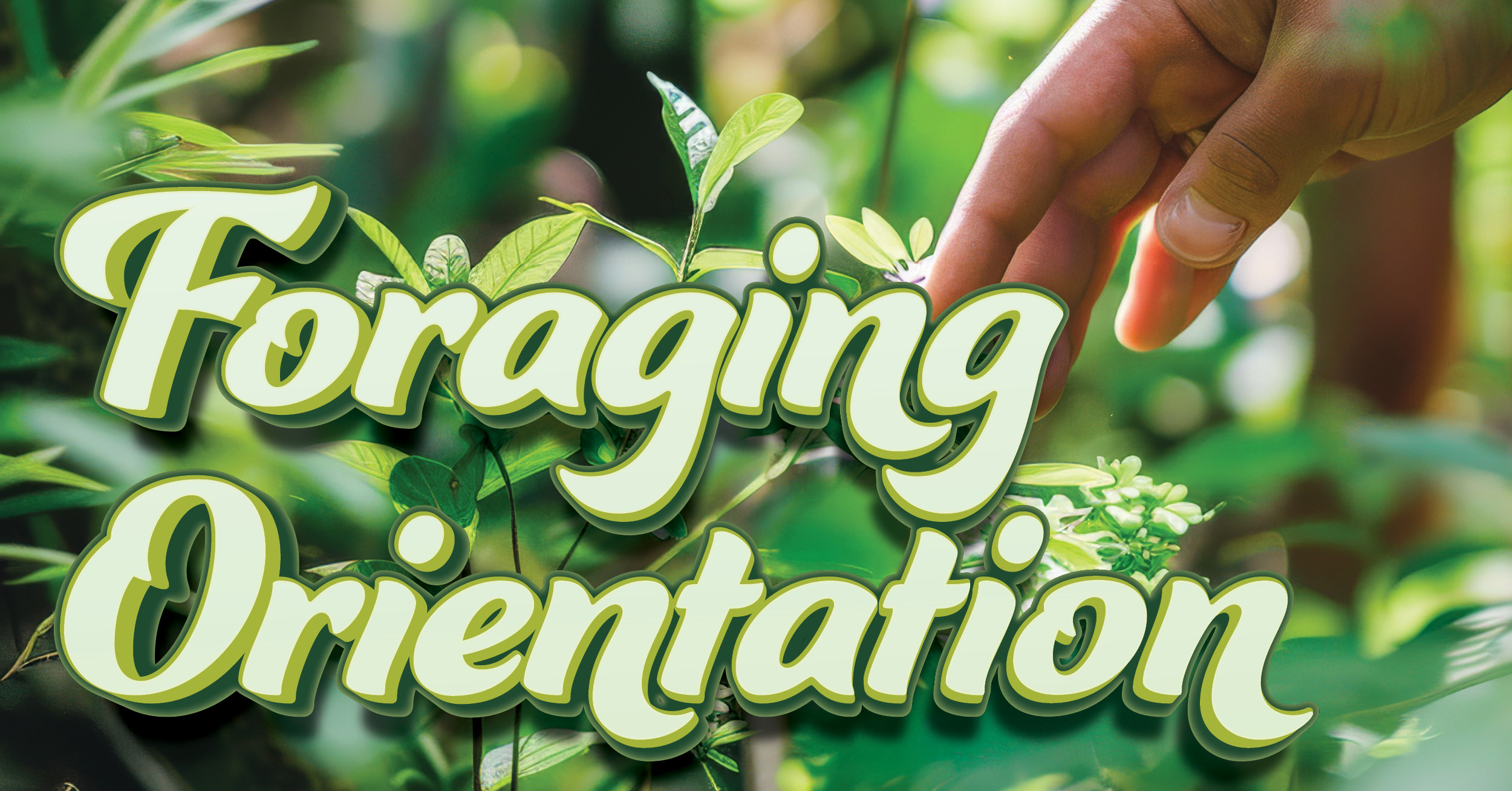 Foraging Orientation web banner