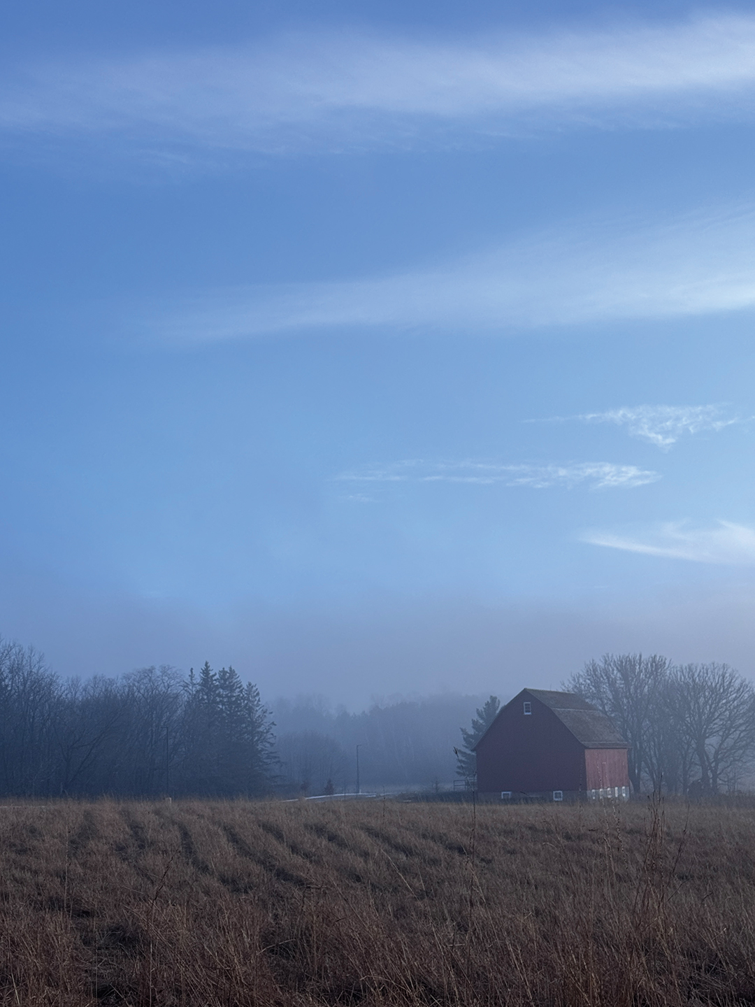 The Barn