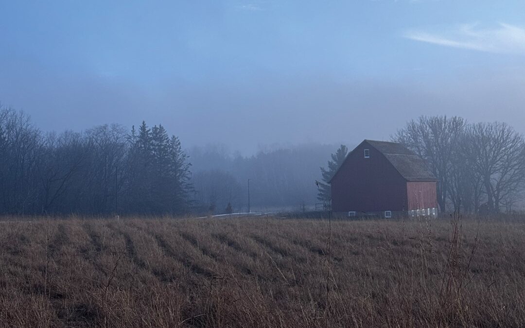 The Barn